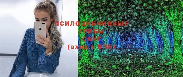 амф Лабытнанги