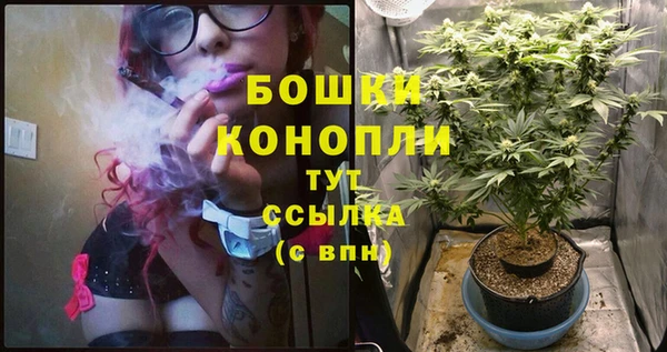 амф Лабытнанги