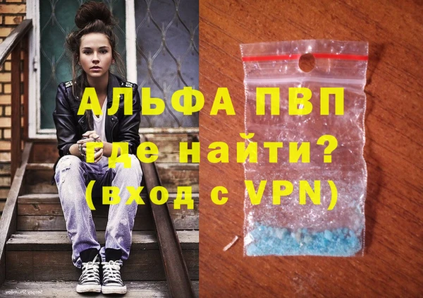 спиды Ладушкин