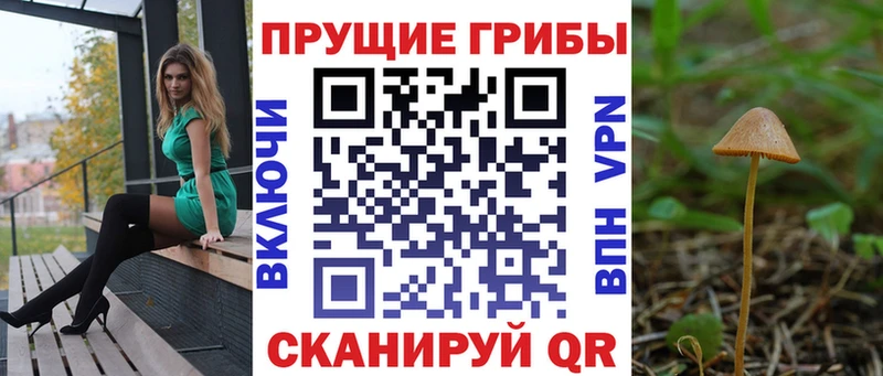 Галлюциногенные грибы Psilocybine cubensis  Кодинск 