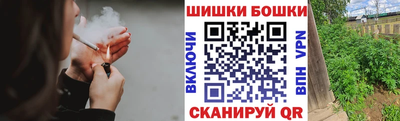 Бошки Шишки план Кодинск